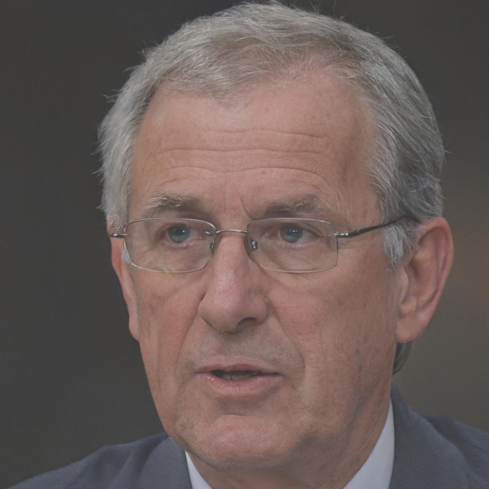 Director de Inversiones participante